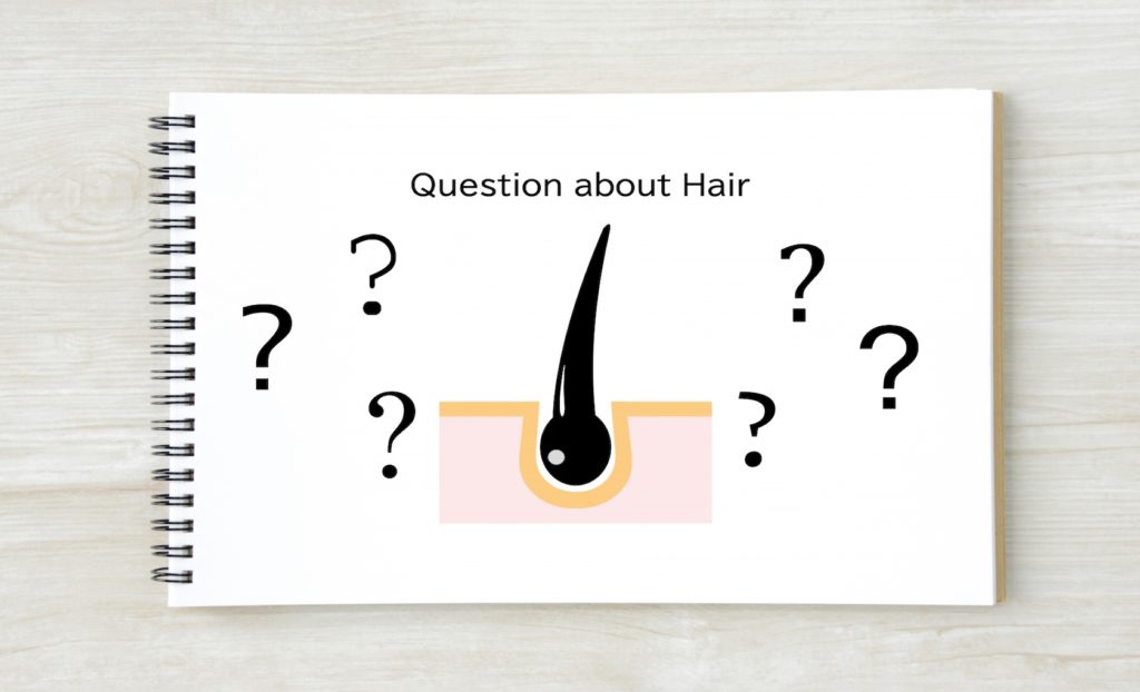 正体とメカニズム